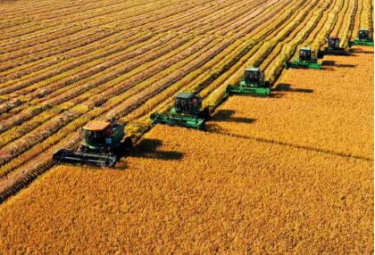 國家統計局：2023年全國糧食生產再獲豐收